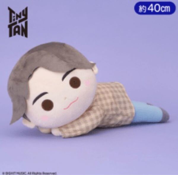 *TinyTAN Dreamy メガジャンボぬいぐるみ~Dynamite~ JungKook*
