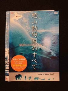 ○013406 レンタルUP：DVD 旭山動物園のすべて 2177 ※ケース無