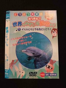 ○013679 レンタルUP*DVD どうぶつ大好き あつまれ!!世界のゆかいな動物たち5 57 ※ケース無