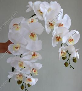 *. бабочка орхидея *kochou Ran *2 шт. комплект * цветок 9 голова * искусственный цветок * белый * длина примерно 79cm