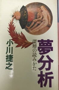 夢分析 : 深層の読みかた