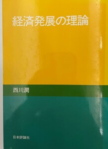 経済発展の理論 西川 潤