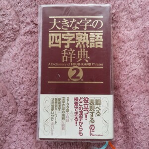 大きな字の四字熟語辞典