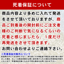 ■送料無料■タマミジンコ1.5g×ゾウリムシ種水500mlお得セット(ムックリワーク15g:PSB45ml×2セット:説明書付:ネコポス:死着保証あり)_画像2