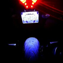 LED/ナンバー灯/ナンバーボルト M6 YBR125 MT-25 MT-03 MT-07 MT-09 XSR700 XSR900 XJR400 XJR400R 4HM RH02J XJR1200R XJR1300 汎用_画像3