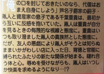 即決～貴族シリーズ3冊～/桔梗庵の花盗人と貴族/貴族と熱砂の薔薇/高潔な貴族は愛ぺる～SHYノベルズ_画像2