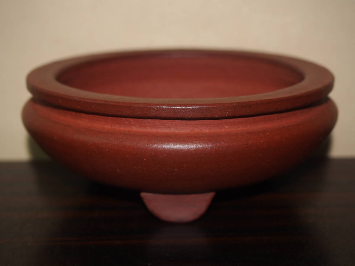 SALE/30%OFF 876 876 盆栽 盆栽鉢 植木鉢 和鉢 壱興造記 - www