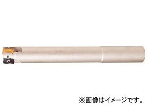 イスカル X シュレッドミル P290 EPW D25-3-130-W25-12(6215904)