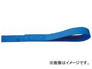 TESAC ラッシングベルト(ベルト荷締機) カムバックル式アイタイプ C01E010-010A(7928556)