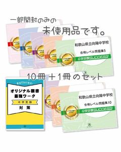 【中学受験対策】【未使用】受験専門サクセス　合格レベル問題集（１０冊）オリジナル願書最強ワーク　セット　適性検査　作文　対策