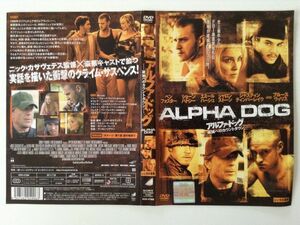 B03887　R中古DVD　アルファ・ドッグ ー破滅へのカウントダウンー　(ケースなし、ゆうメール送料10枚まで180円）　