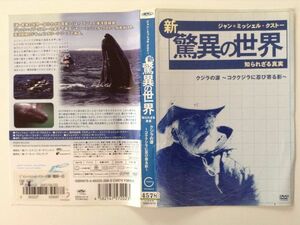 B04593　R中古DVD　新 驚異の世界 知られざる真実　クジラの涙～コククジラに忍び寄る影～　(ケースなし、ゆうメール送料10枚まで180円）　