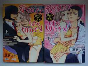 『愛くるしくてスーツの下がはち切れそう！』上下巻 冴島つき　BAMBOO COMICS TL