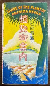 観光紙片 日向青島の植物御案内