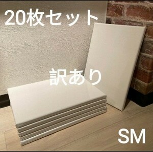 【訳あり】画材 キャンバス 張りキャンバス SM 20枚セット