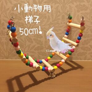 小動物鳥用品ブランコ　階段バードトイ止まり木モモンガデグーインコはしごおもちゃ