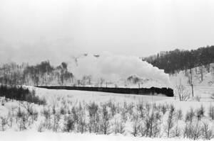 飾って楽しむ鉄道写真（去りゆく蒸気機関車：留萌本線 ） NO.63580025