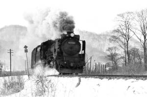 飾って楽しむ鉄道写真（去りゆく蒸気機関車：函館本線 ） NO.63520037「D51611」
