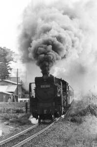 飾って楽しむ鉄道写真（去りゆく蒸気機関車：山陰本線 ） NO.63820047「D51243」