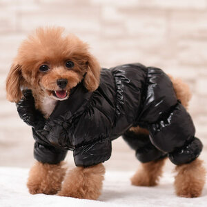 犬の服 前開き スナップボタン 中綿防寒冬物 防水 ドッグウエア ペット服 ワンちゃん服 ブラック