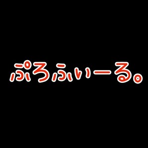 ☆★プロフィール★☆ ご一読頂けるとありがたいです( * . .)))
