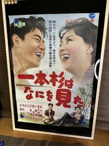 古い映画ポスター 日活「一本杉はなにを見た」監督/吉村廉 長門裕之 香月美奈子 小園蓉子 武智豊子 杉狂児