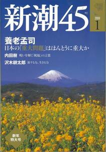 新潮45　2009年1月　日本の重大問題はほんとうに重大か