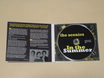 70'S PUNK,POST PUNK：THE SCENICS / IN THE SUMMER - STUDIO RECORDINGS 1977-78(DEMICS!,VILETONES,THE MODS,THE SECRETS,THE CURS)_画像3