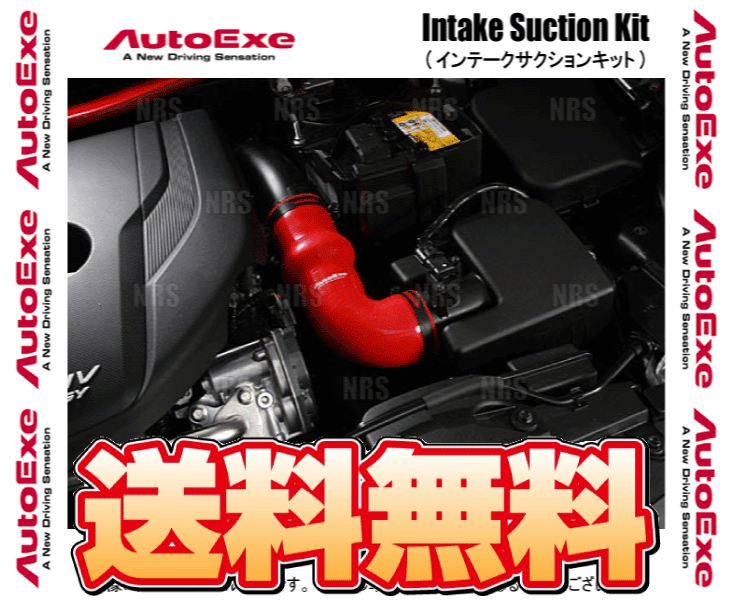 ー品販売 AutoExe オートエクゼ ラムエアインテークシステム アクセラ