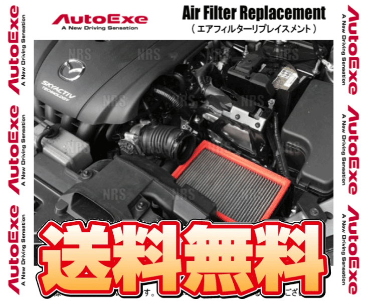 ー品販売 AutoExe オートエクゼ ラムエアインテークシステム アクセラ
