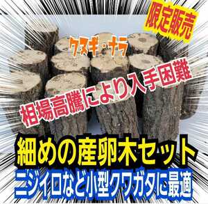 細めの産卵木【8本】ニジイロクワガタ、コクワなど小型種に最適なサイズです！クヌギ・ナラ　直径7～10センチ　長さ約13センチ☆椎茸菌糸材