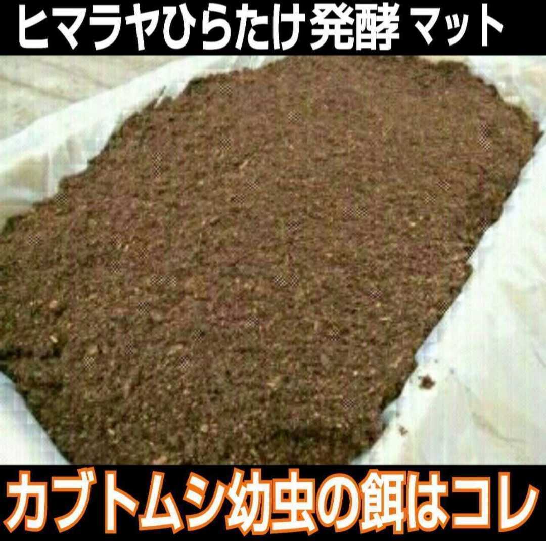 最先端 300リットル 改良版 雑虫 コバエが湧かなく使いやすい ヒマラヤひらたけ発酵カブトムシマット 幼虫の餌 産卵に抜群 栄養添加剤入り 虫類 Pmpcpa Com
