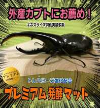 ヘラクレスが巨大化！極上☆進化した！プレミアム発酵カブトムシマット【2袋】栄養添加剤3倍配合！ギネス級狙えます☆トレハロース強化配合_画像5