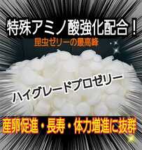 極上ハイグレードプロゼリー【100個】特殊アミノ酸強化配合！産卵促進・長寿・体力増進に抜群！オスも食べやすいワイドカップ　昆虫ゼリー_画像2