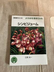 シンビジューム　NHK趣味の園芸　よくわかる栽培12ヶ月　江尻光一