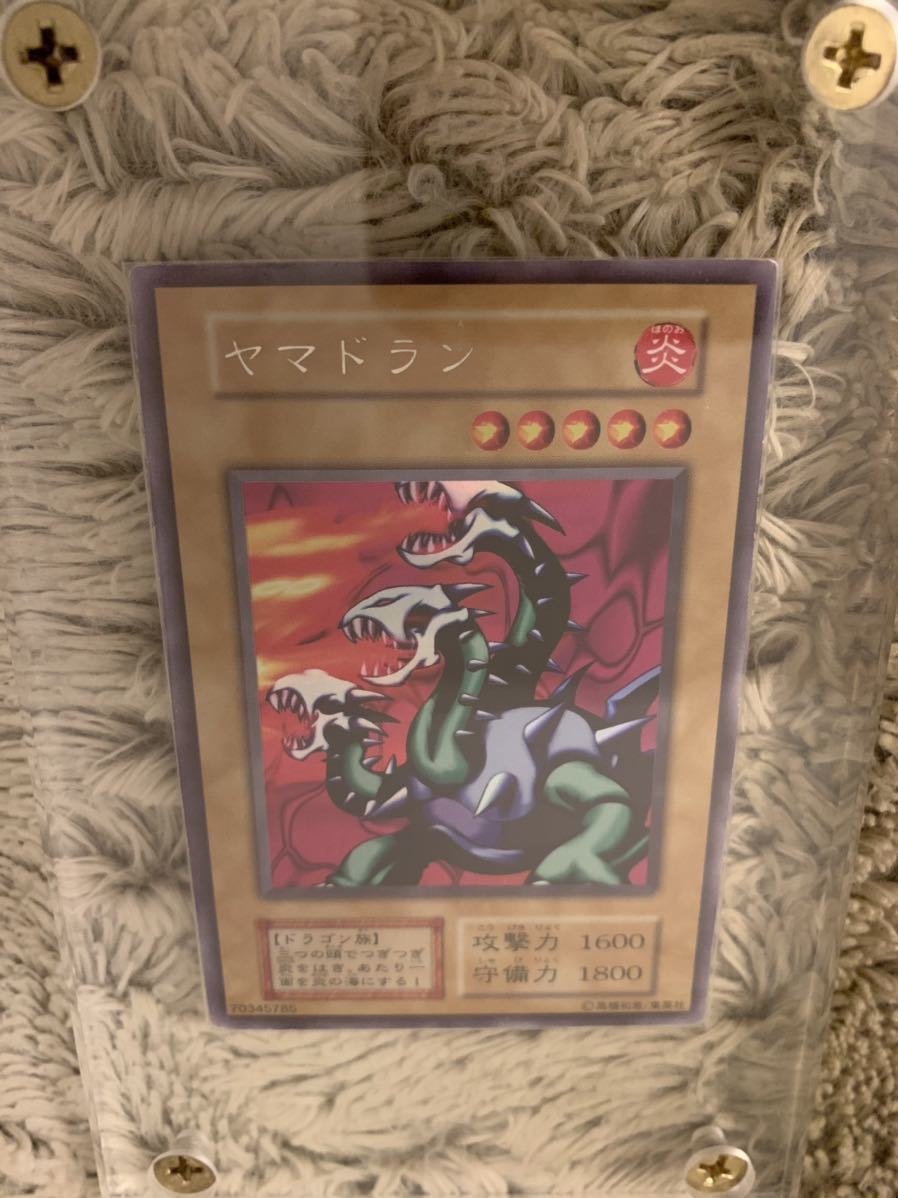 2023年最新】ヤフオク! -遊戯王 ヤマドランの中古品・新品・未使用品一覧