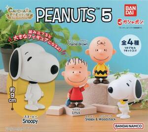 ♯　(台紙のみ)　カプキャラプレミアム　スヌーピー　PEANUTS 5　(台紙/POP)　非売品