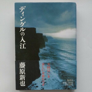 ディングルの入江 藤原新也／著