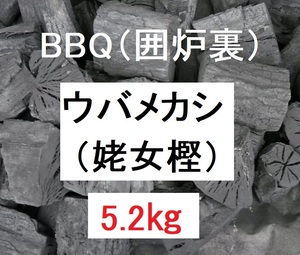 お得！《送込》(炭244)【ウバメカシ】カシ炭「5.2kg」火持ち抜群　BBQ　燃料　囲炉裏　火鉢　バーベキュー　割れ欠け不揃い　姥女樫 かし