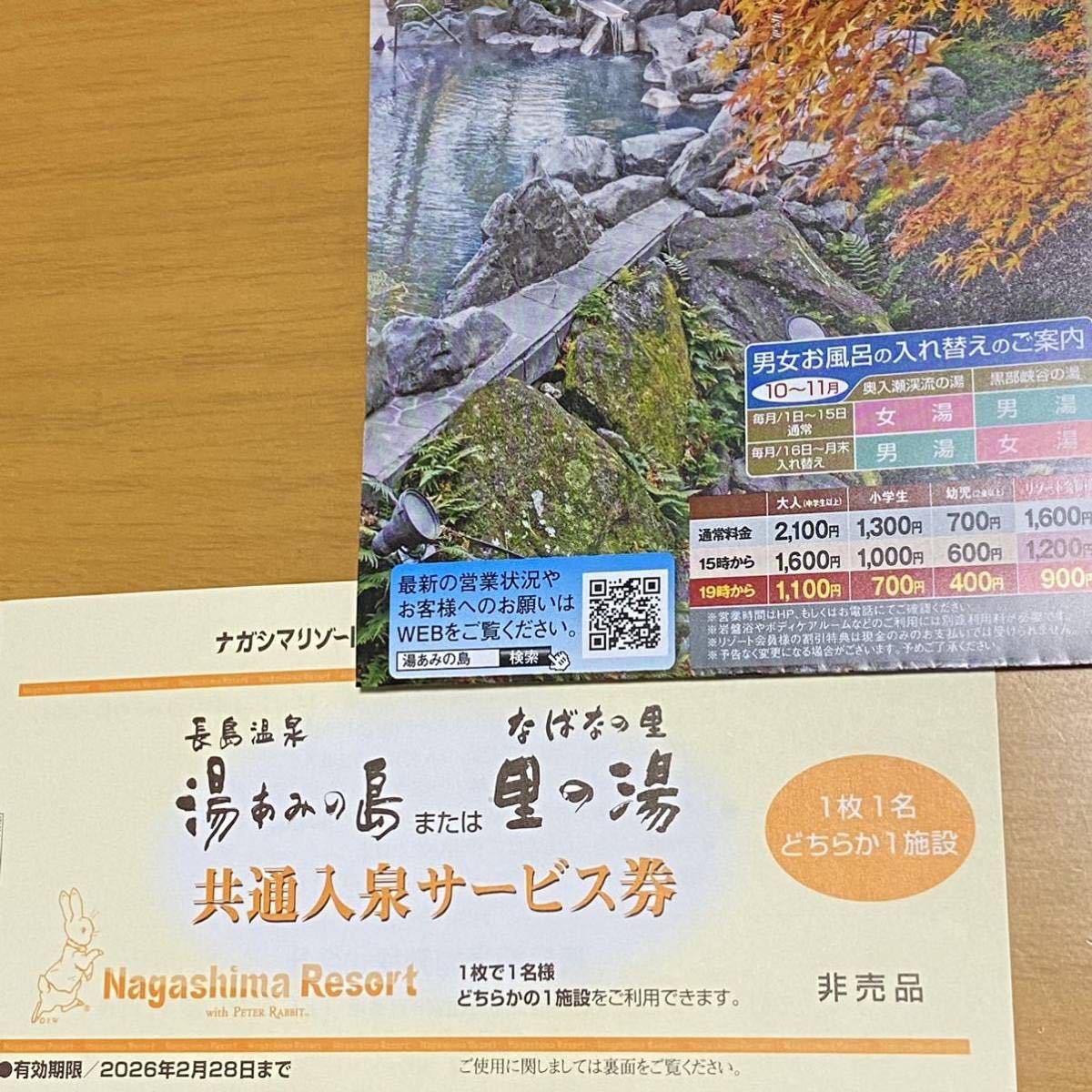湯あみの島チケット3枚 遊園地 | wildfusions.com