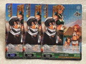 ◆ ws 【 SR 】 大地の過客 3枚 [ SAO/S71-041S ] ソードアート・オンライン 10th Anniversary ヴァイスシュヴァルツ トレカ