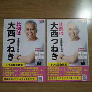 ☆ 令和元年 参議院選挙 れいわ新選組 大西つねき 公選ハガキ ☆