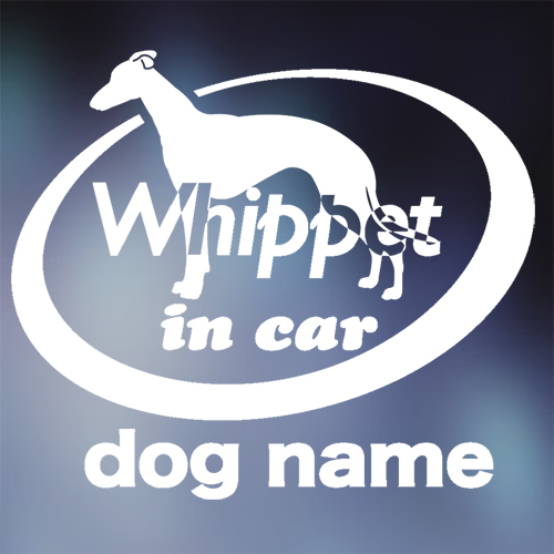 ウィペット in car ステッカー。犬ステッカー。