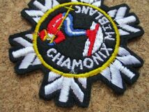 80s シャモニー モンブラン雪の結晶ビンテージ刺繍ワッペン/AアルプスSKIスキー五輪patchesフランス雪山CHAMONIX MONT BLANC旅行パッチ D1_画像2