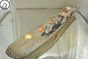 Art hand Auction SEASIDEinterior☆流木で作るキャンドルホルダー Candle holder made from driftwood.26, ハンドメイド作品, インテリア, 雑貨, 置物, オブジェ