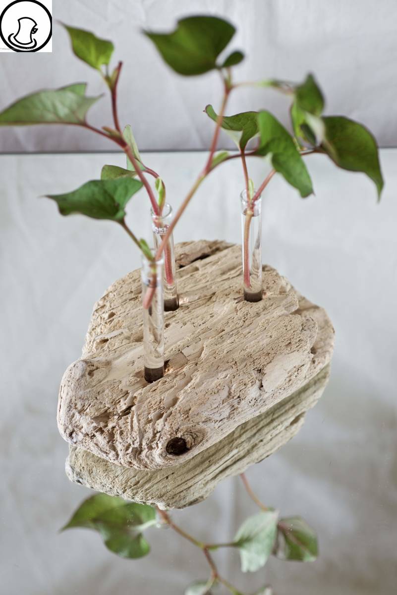 SEASIDEinterior☆Freshly made flowers made from driftwood"DRIFTWOOD CENTERPIECE 37", handmade works, interior, miscellaneous goods, ornament, object