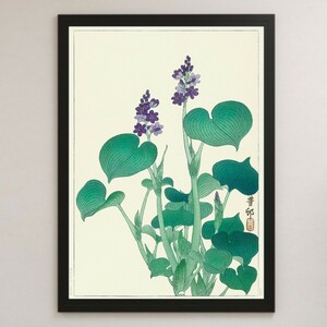  small . old .[...( hosta )] ukiyoe art lustre poster A3 bar Cafe Classic interior Japanese picture flowers and birds nature's beauty plant botanikaru