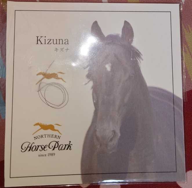ノーザンパーク レア アーモンドアイ たてがみ 9冠馬 ルメール 安い販売品 ノーザンパーク レア アーモンドアイ たてがみ 9冠馬 ルメール ノーザン その他