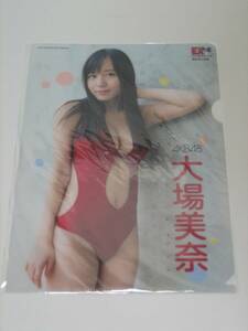 新品 未開封品　ＡＫＢ４８ 大場美奈　クリアファイル