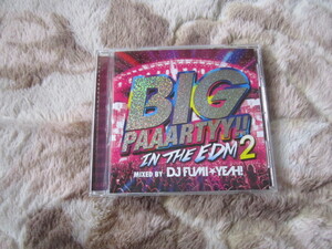 CD 即決 「BIG PAAARTY -IN THE EDM 2- mixed by DJ FUMI★YEAH!」